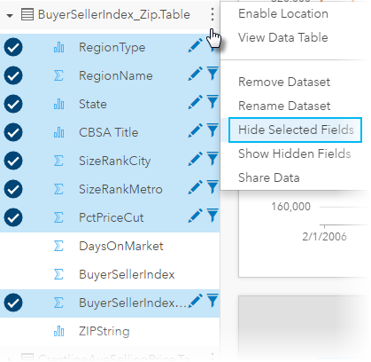Dataset Options to Hide Selected Fields