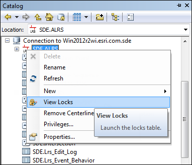 Open locks table using the Catalog window