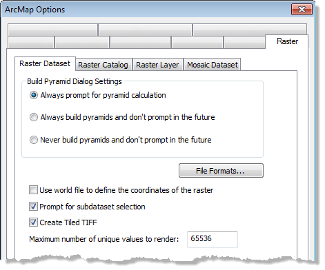 Raster Dataset Options