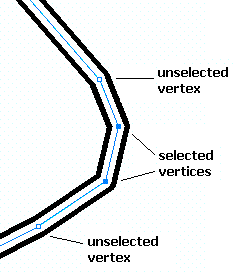 Selected and unselected vertices