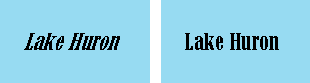 ArcMap 中字体的仿斜体版本（左图）和未使用仿属性的情况下地图服务中显示的实际字体（右图）