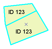 Ergebnis der Teilung des Polygons: zwei neue Features
