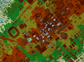 LIDAR-Daten der ersten Reflexion erstellen ein Terrain-Dataset