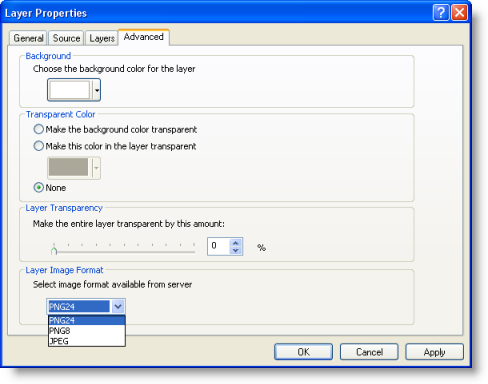 Registerkarte "Erweitert" des Dialogfeldes "Layer-Eigenschaften" für ArcGIS-Kartenservice-Layer