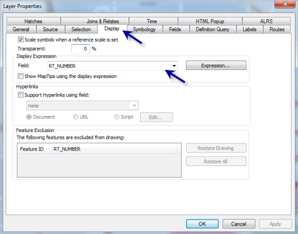 Setting up the Display field in Layer Properties