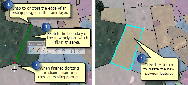 Verwenden des Werkzeugs "Polygon automatisch schließen", um durch Skizzieren benachbarte Polygone zu erstellen