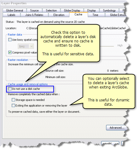 Cache-Löschoptionen für ArcGlobe-Layer.