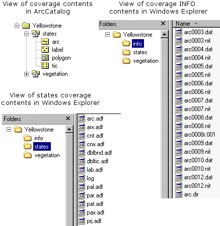 Ansicht des Coverage-Inhalts in ArcCatalog und Windows Explorer