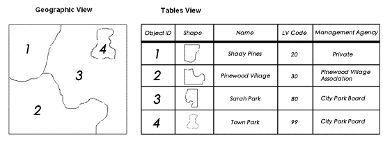 Als Tabellen mit einer Shape-Spalte gespeicherte Feature-Classes