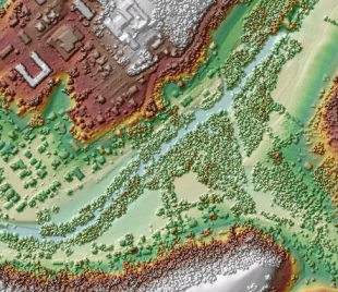 DOM – Zuerst zurückgegebene LIDAR-Oberfläche