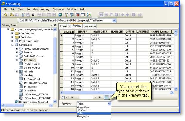 Die Ansicht "Tabelle" eines Datasets