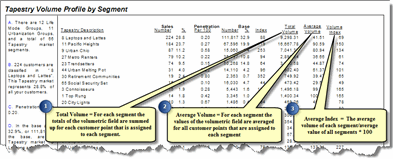 Tapestry Volume Profile report