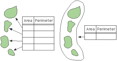 Region und Polygon