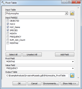 Pivot Table dialog box