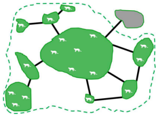 Patches of populations making a metapopulation