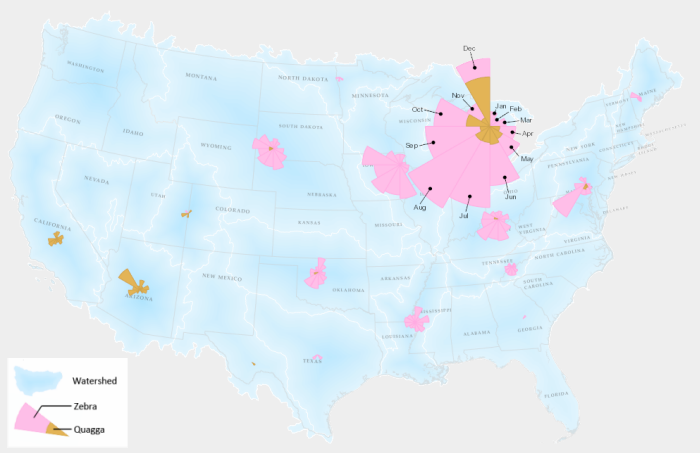 Map of mussel species using coxcomb features