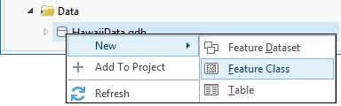 Creating a new feature class from the Project Pane.