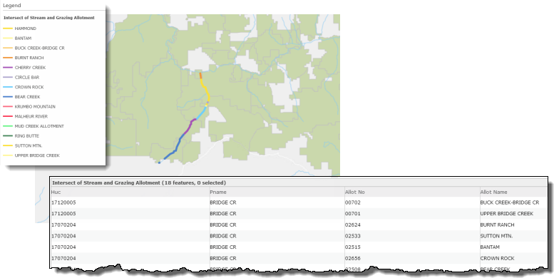 Map of grazing allotments overlaid with streams and filtered to select Bridge Creek