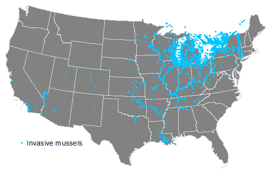 map showing locations of mussels