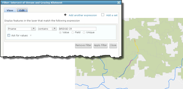 Filter the stream and grazing allotment intersect layer by stream name