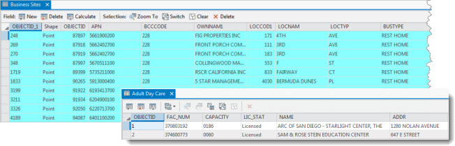 Business Sites and Adult Day Care attribute tables