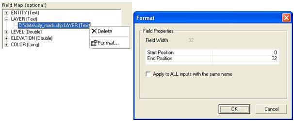 Input field context menu and Format dialog box