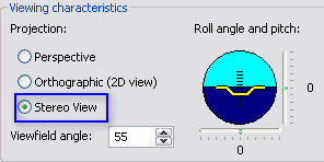 Choose Stereo View from the View Settings dialog box.
