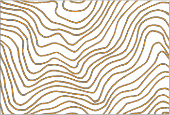 Centerline vectorization of contour lines