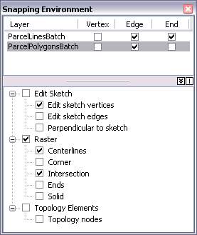 Snapping Environment window with raster snapping options listed in the Raster tree