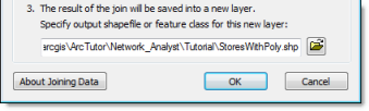 Setting the output shapefile or feature class