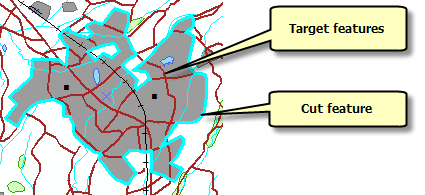 Examples of cut and target features