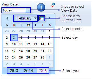 Select a view date from the calendar widget