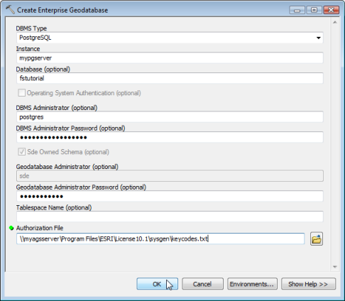 Example values for creating a geodatabase in PostgreSQL