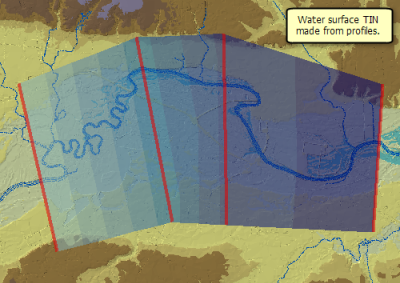 Surface TIN created with the Create TIN geoprocessing tool