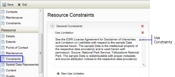 Describe any constraints related to using the item on the Constraints page under the Resource heading