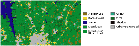 example of raster image