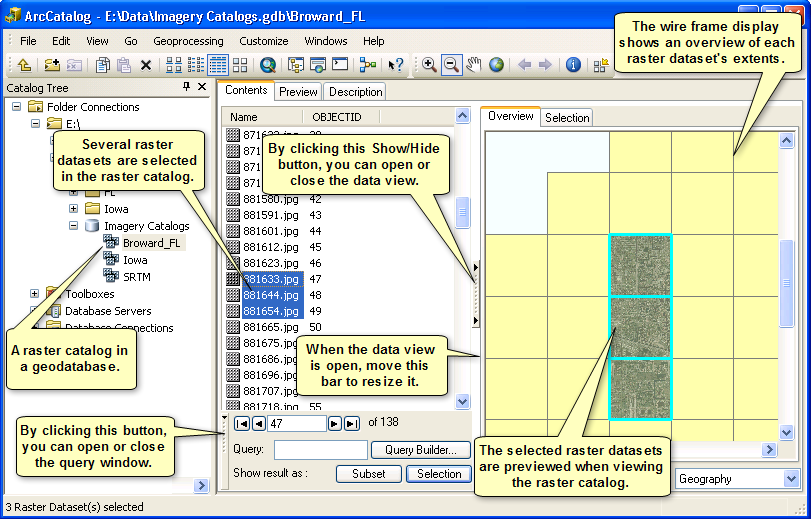 Exploring a raster catalog in ArcCatalog