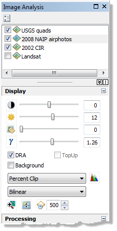 Image Analysis window: Display section