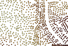 Mass points categorized by the height attribute