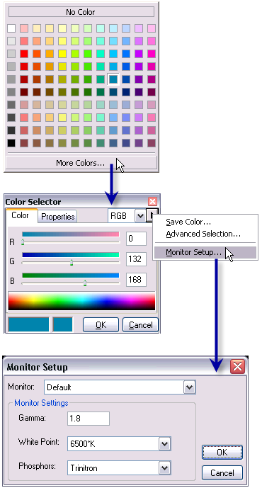 Accessing the Monitor Setup dialog box