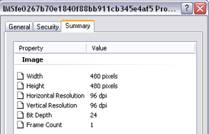 Windows Explorer's properties of the image used to fill a 5-by-5-inch data frame