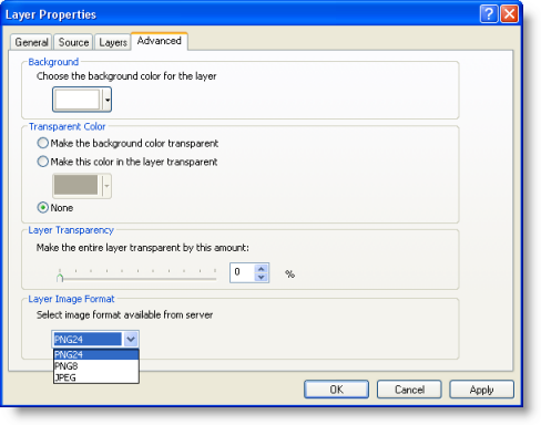 The Advanced tab on the Layer Properties dialog box for ArcGIS map service layers