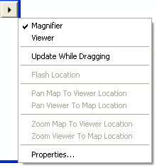 Setting properties of the magnifier window