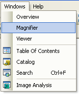 Opening the Magnifier window in ArcMap