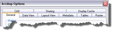 ArcMap Options tabs