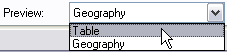 Setting the Preview tab to display the table.