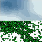 Density of bird sightings