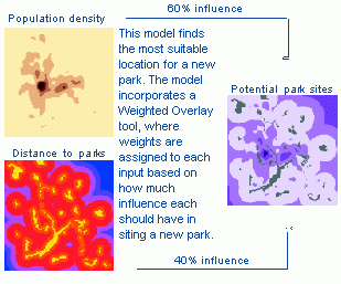 A more complex model