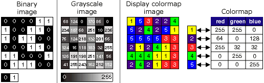 Single band raster data