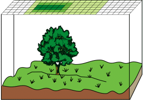 Example of continuous data